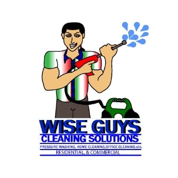 logo wise guys cleaning solutions